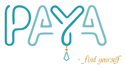 Paya partners with Stylebuddy Ecommerce Platform